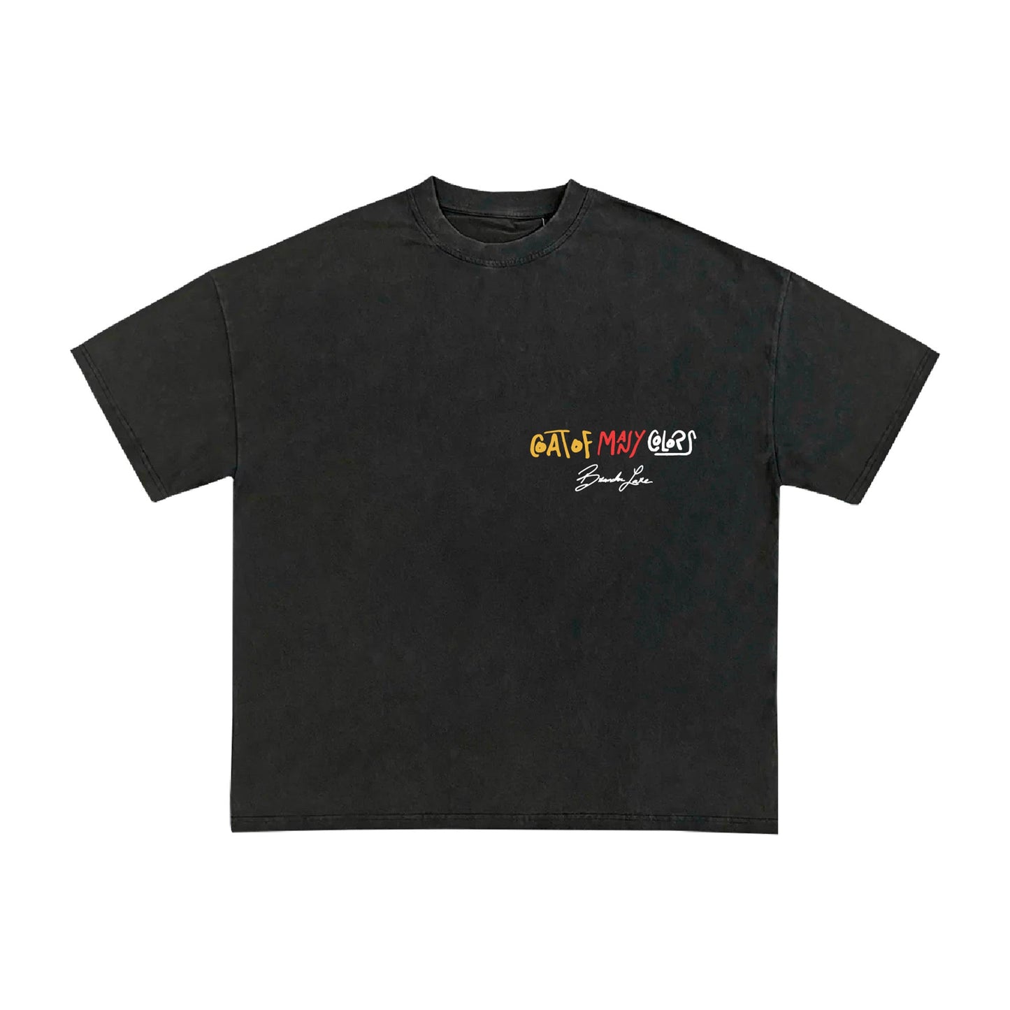 Coat Of Many Colors Tee Style001