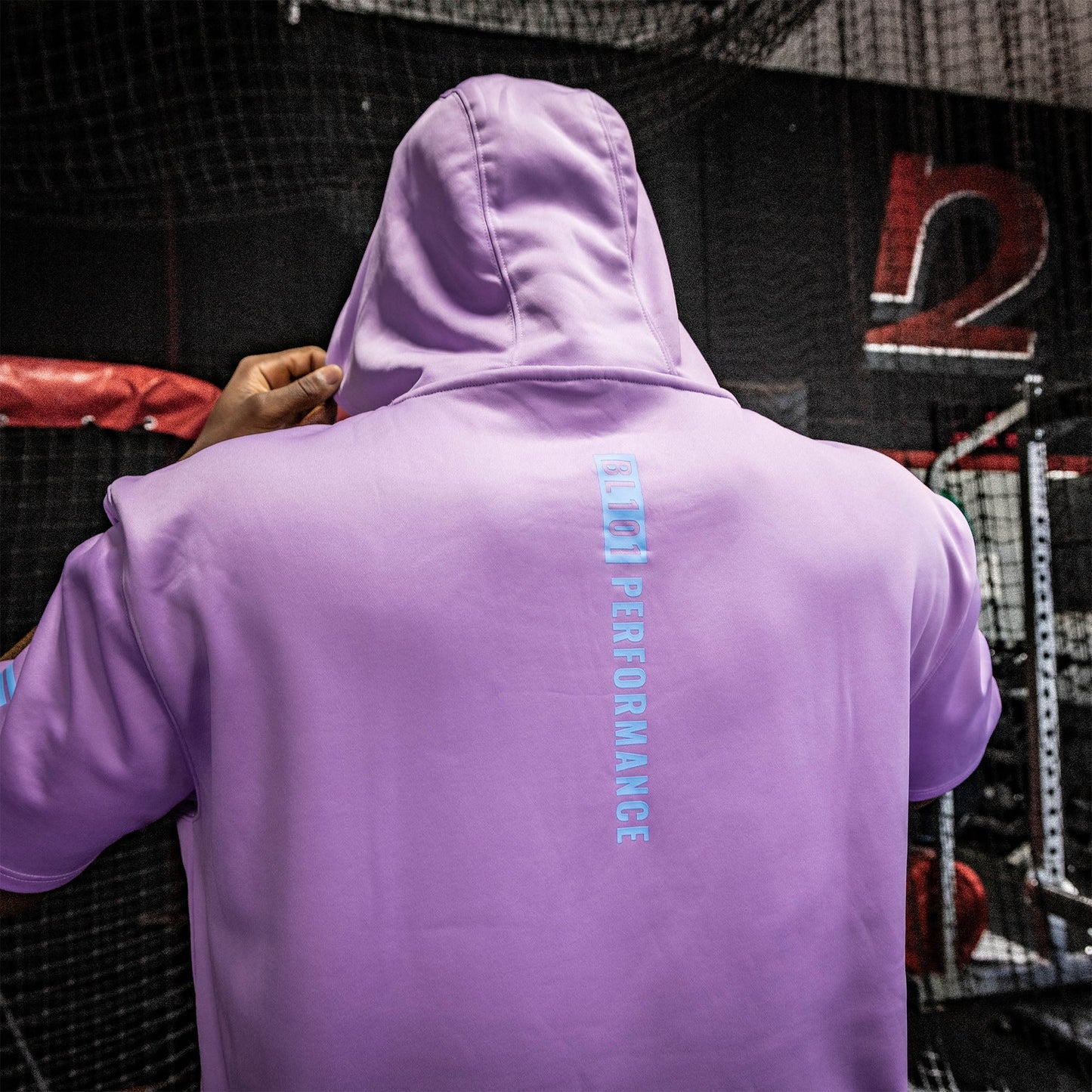 BSBL-SZN Youth Short Sleeve Hoodie V2 - Lavender/Light Blue