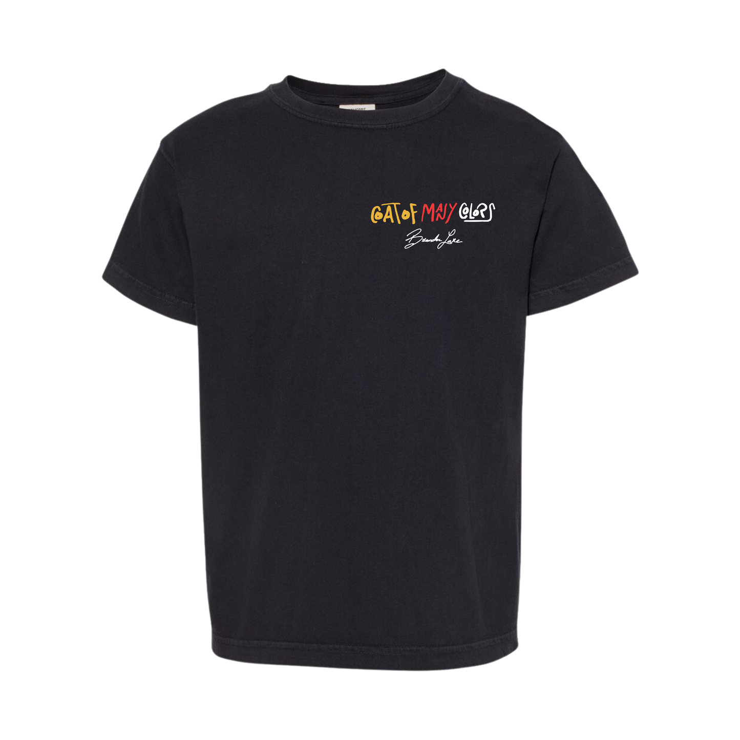 Coat Of Many Colors Tee (Kids) Style001