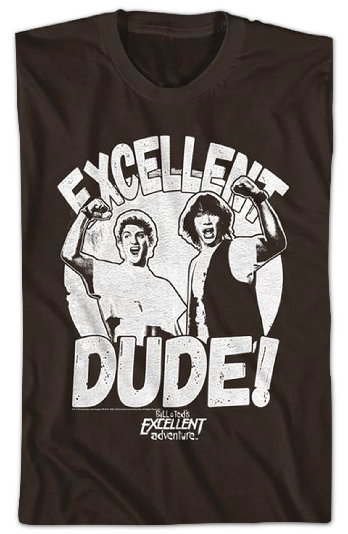 Excellent Dude Bill And Ted T-Shirt
