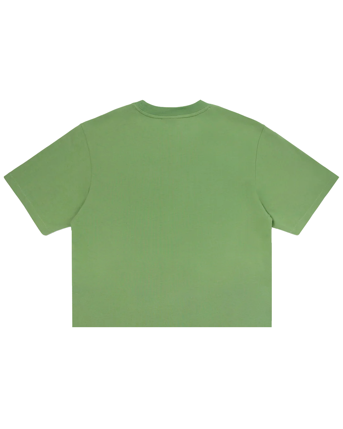 Womens Classic Curve Logo Cropped Tee Style002