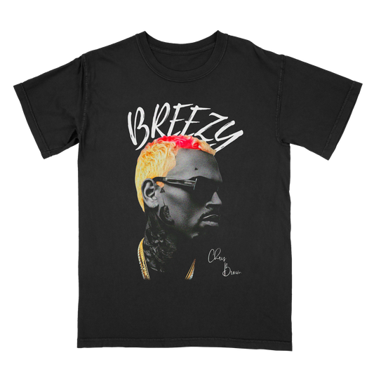 Chris Brown Vintage Streetwear Graphic Tee – Retro Concert Merch T-Shirt, Unisex Fan Gift
