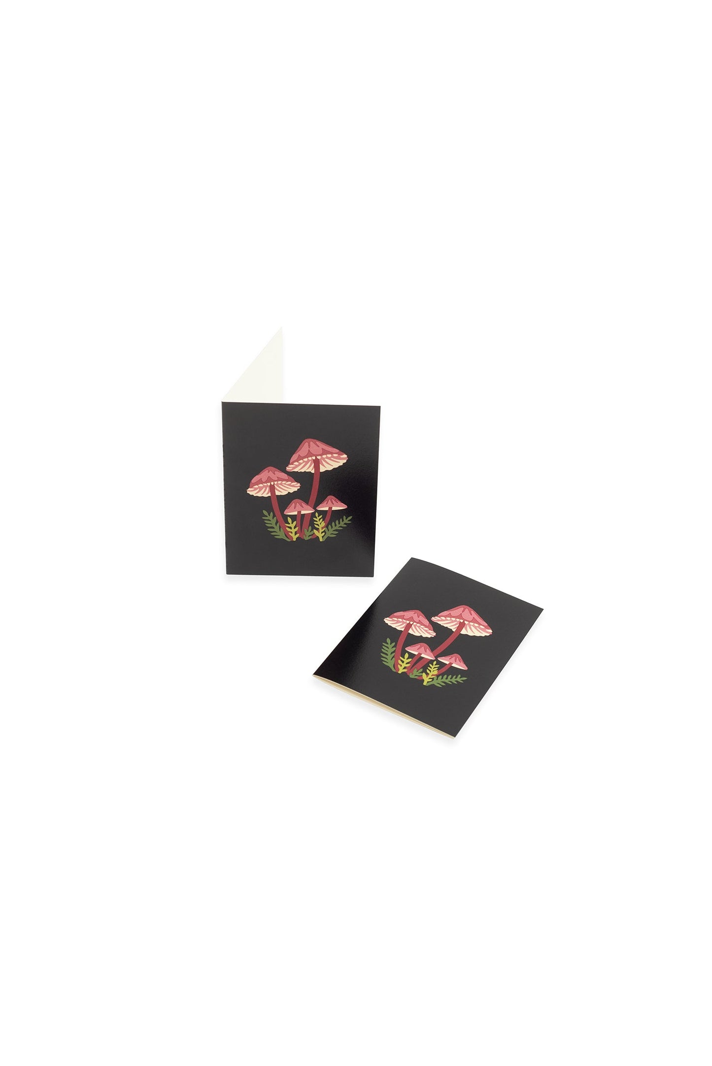 Mushrooms Mini Card Set