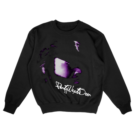PartyNextDoor PND Tour Sweatshirt – Vintage R&B Sweater, Rare Streetwear Apparel