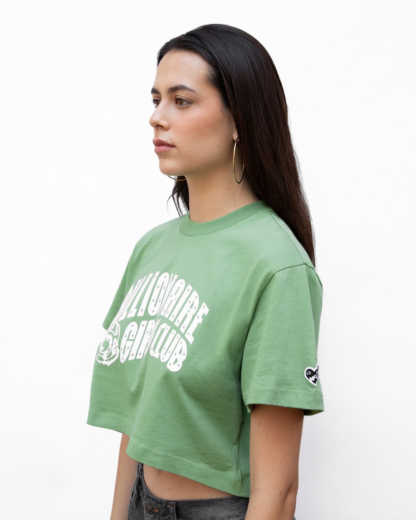 Womens Classic Curve Logo Cropped Tee Style002