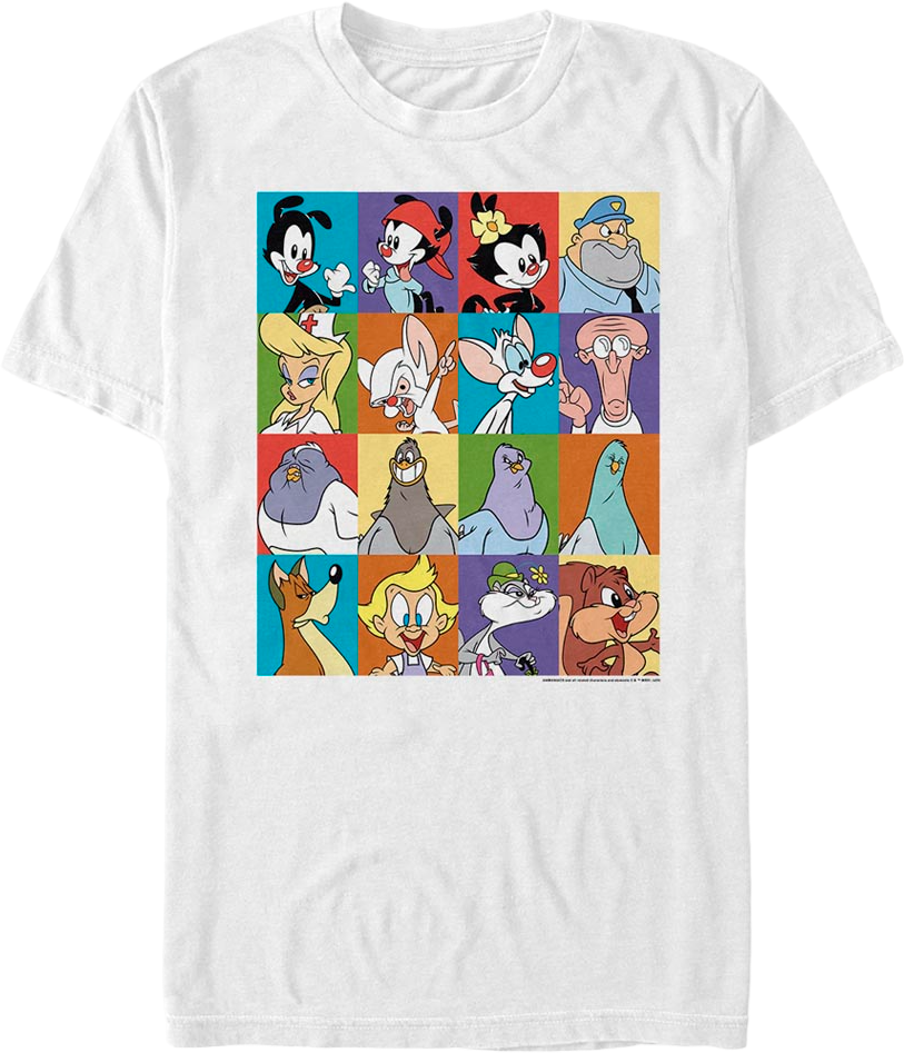 Classic Character Blocks Animaniacs T-Shirt