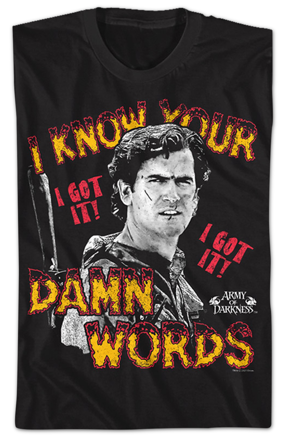I Know Your Damn Words Army of Darkness T-Shirt