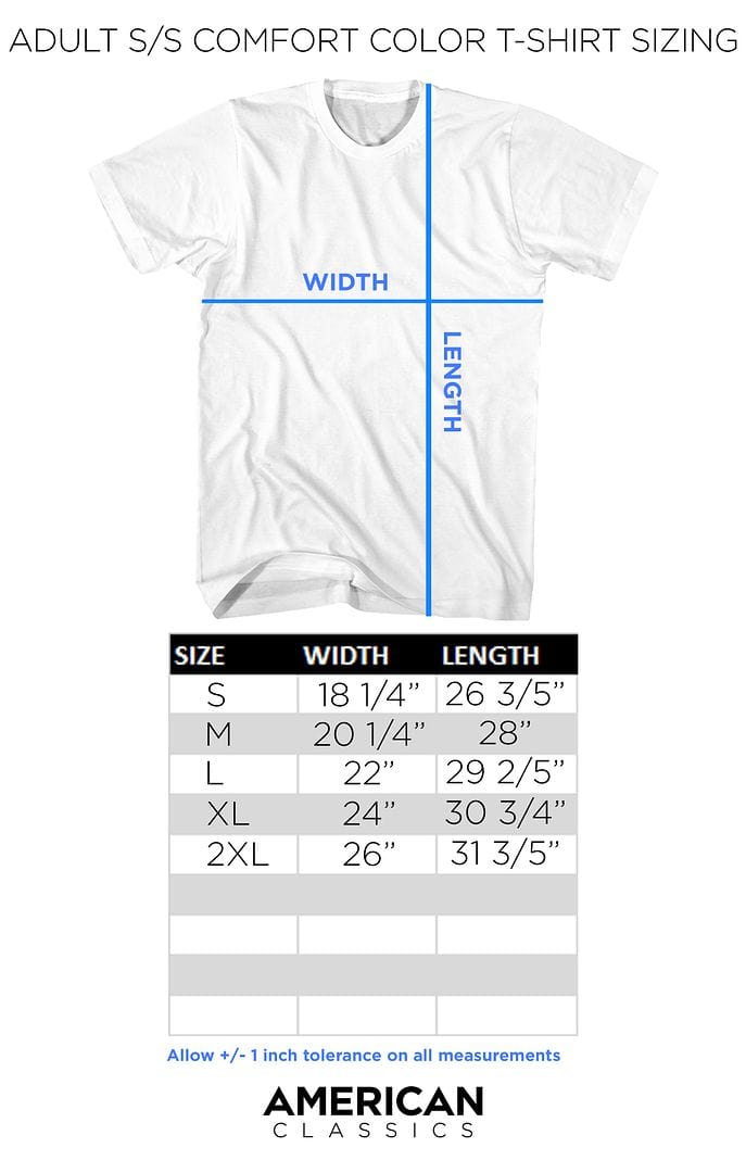 Pink Floyd DSOTM Tour 73 Comfort Color T-Shirt